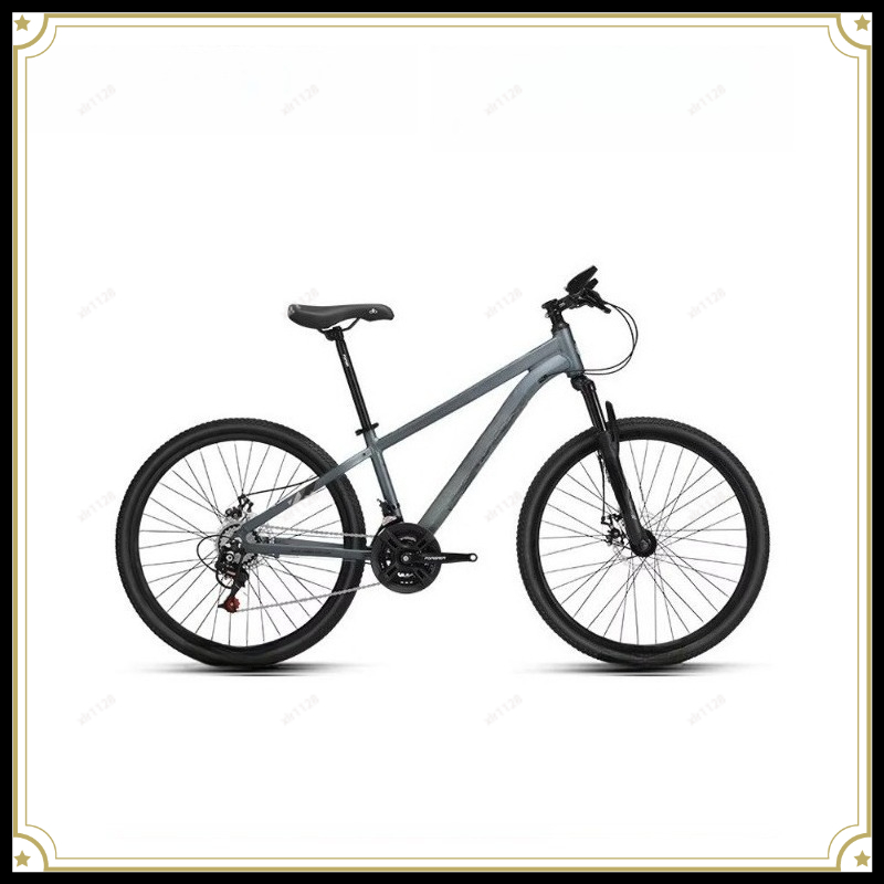 Mountain Bike Variable Speed B – Commuting With Bike Bewertung und Preis