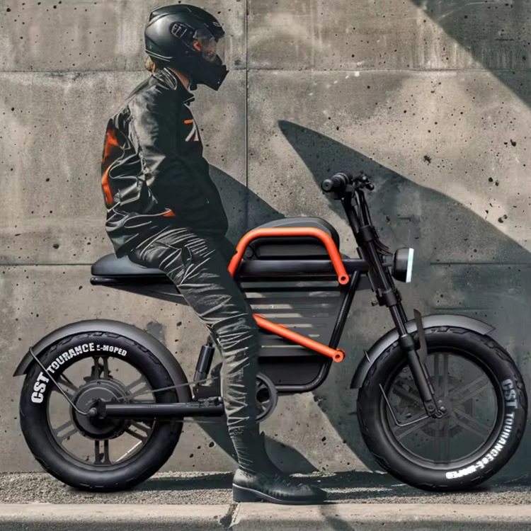 60V 20Ah WideTire Electric Mot – Commuting With Road Bike Bewertung und Preis