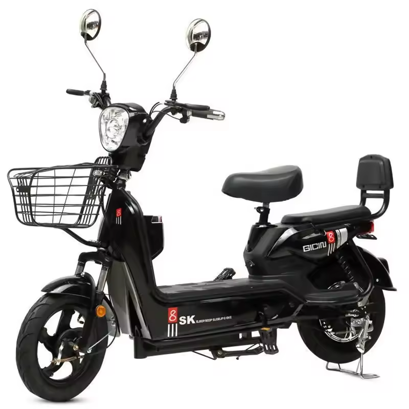 Best Price Electric City Bike  – Cycling In City Bewertung und Preis