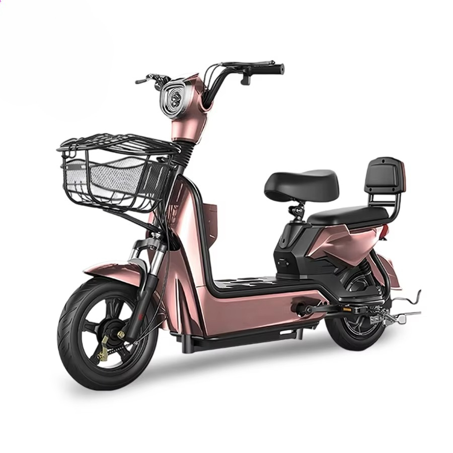 Best Price Electric City Bike  – Cycling In City Bewertung und Preis